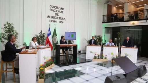 Ricardo Ariztía: No podemos abandonar a La Araucanía