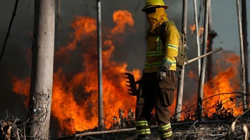 Restingen quemas controladas en Biobío para prevenir incendios durante Fiestas Patrias