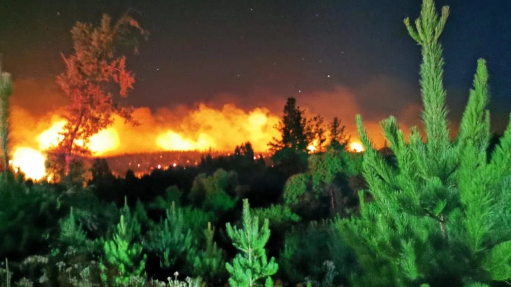 Incendio forestal NAcimiento (2), 