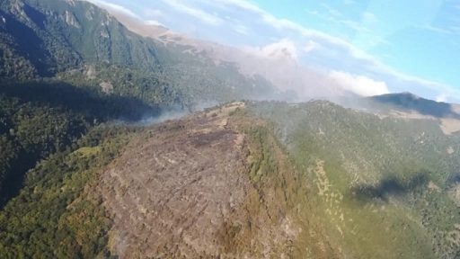 Incendio que amenazaba Reserva Nacional Ralco es controlado