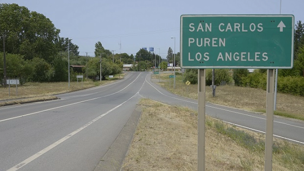 SAN CARLOS PUREN 2020 (1), 