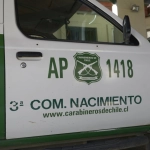 Las diligencias fueron encabezadas por Carabineros de Nacimiento., La Tribuna