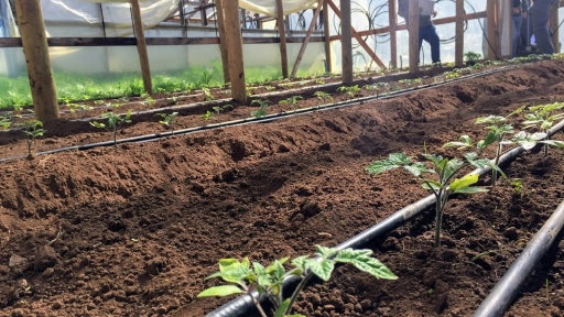 Buscan beneficiar a pequeños agricultores del Biobío a través de proyectos de riego