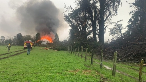Toltén: Tromba marina generó incendio de una vivienda y destruyó diversos árboles