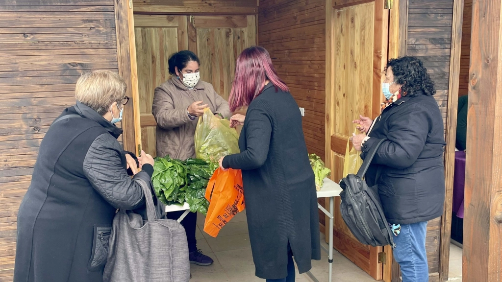 LOCALES SAN ROSENDO, 