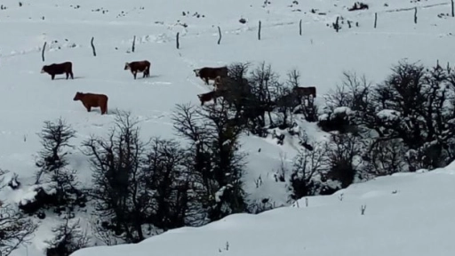 Municipalidad e INDAP acuerdan trabajo conjunto para fortalecer la economía campesina en Alto Biobío