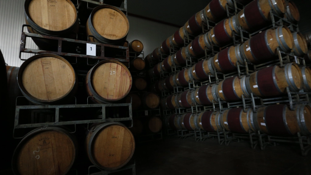 Barriles, La producción total de vinos del año 2021 alcanzó los 1.343.698.687 litros.