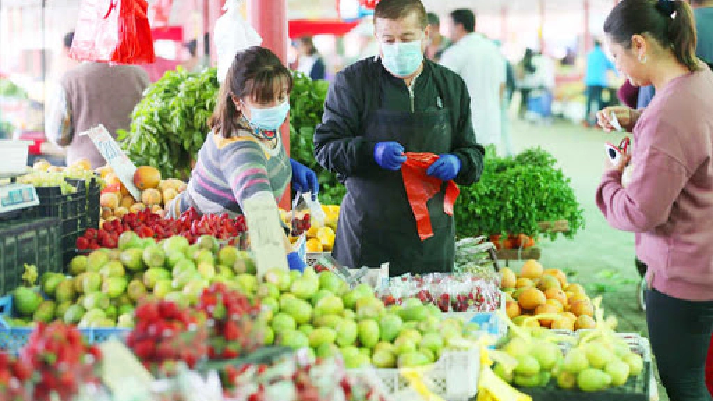 foto nota ferias prodesal, Las ferias Prodesal permiten a los horticultores generar mejores ingresos de los que conseguirían si vendieran sus productos en la Vega de Los Ángeles.  