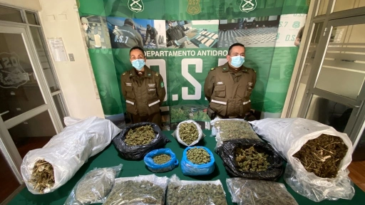 OS7 incautó marihuana, armas y más de 11 millones en efectivo en Ercilla