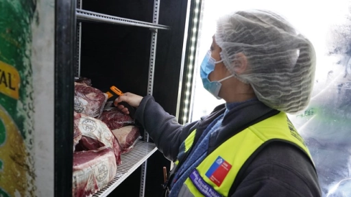 Provincia de Biobío: 560 kilos de carne han sido retirados en 14 decomisos
