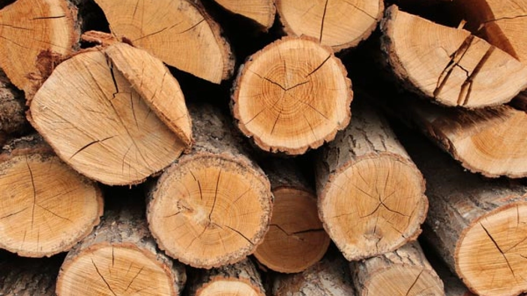 madera-sostenible, 