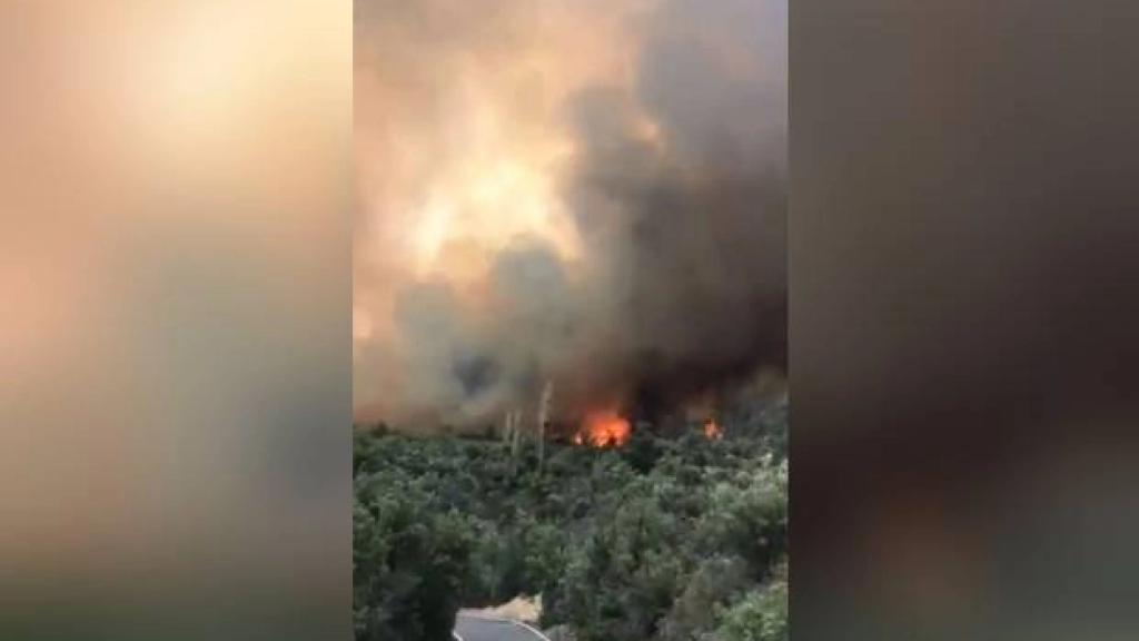 Onemi declara Alerta Roja para la comuna de Tiltil por incendio forestal, 