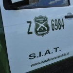 11-01-2019_19-48-401__siat9-1024x680-1, 