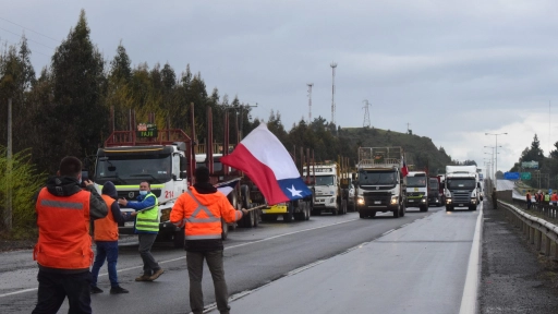 Camioneros anuncian paro nacional por ataque a conductor en Macrozona Sur