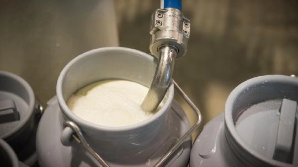 foto nota venta de soprole, Los productores que venden su leche a Soprole son pocos en comparación con otras empresas, pero podría haber un cambio en el mercado lechero, considerando la concentración de esta.