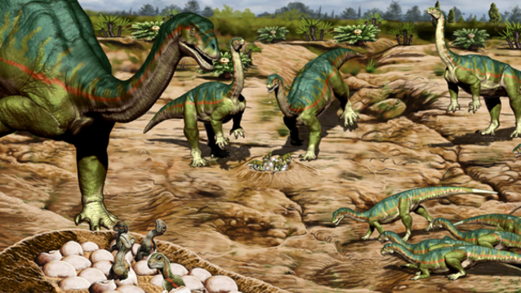 Argentina: Hallan fósiles de una colonia de dinosaurios | La Tribuna