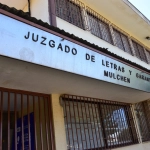 La audiencia se realizará vía telemática en el Juzgado Mulchen, La Tribuna
