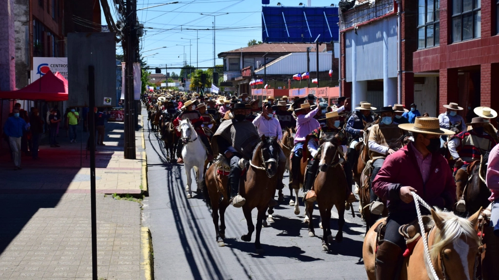 Marcha por la defensa de Traidiciones, caballos (105), A la marcha asistieron miles de representantes del mundo criollo, quienes se manifestaron pacíficamente y en masa en contra del ataque a las prácticas características de este sector.