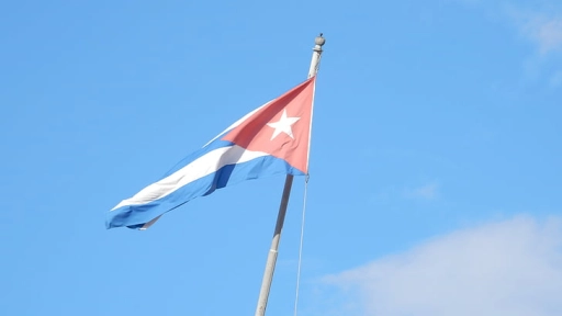 Jóvenes cubanos marcharán este 15 de noviembre