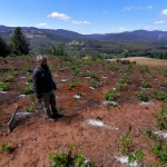 Viñas heroicas de Nacimiento (3), 