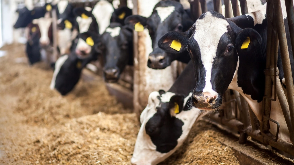 shutterstock_424459801, A través de un sistema intuitivo y de fácil navegación, los clientes podrán acceder a la app desde sus campos gracias a la mejora en la cobertura de antenas y velocidades de transmisión.