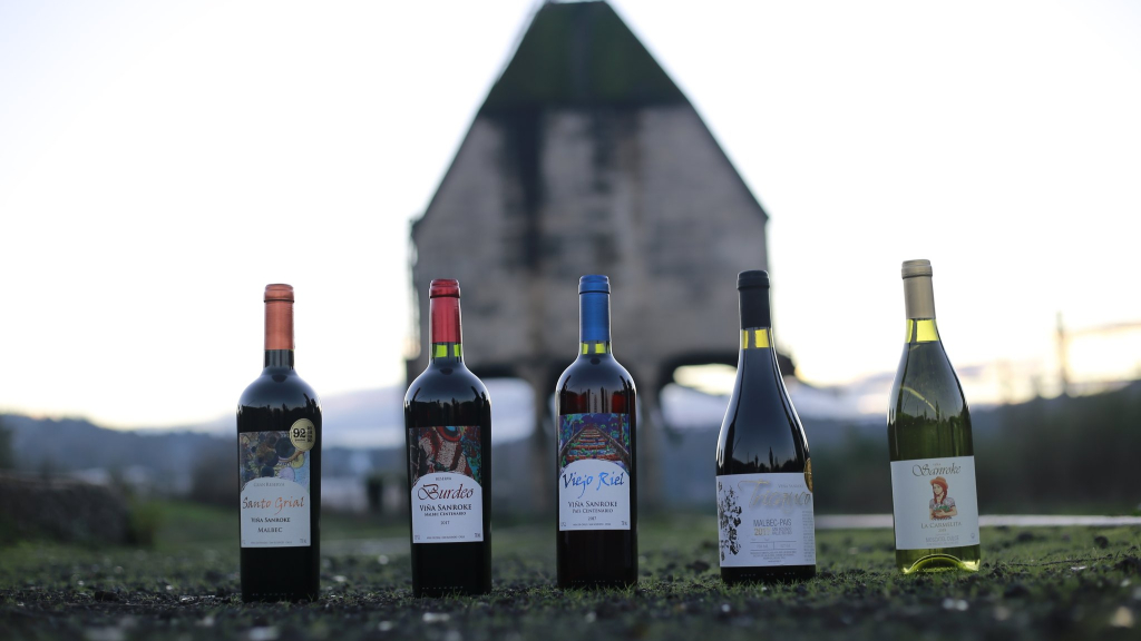 La fascinante historia de perseverancia de la viña San Roke | La Tribuna