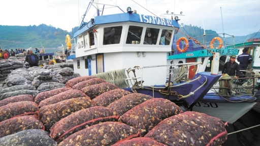 Desembarque pesquero de la Región del Biobío disminuyó 51,4% en octubre