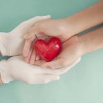 Doctor hands with medical gloves holding child hands and red heart, health insurance, donation, charity during covid-19 coronavirus pandemic, saving life, thank you and appreciation to doctor, 