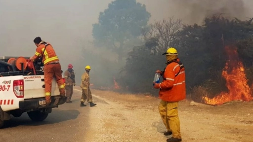 Realizan operativo de prevención de incendios forestales