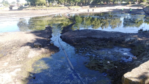 Cientos de peces mueren tras labores de limpieza en Laguna Esmeralda