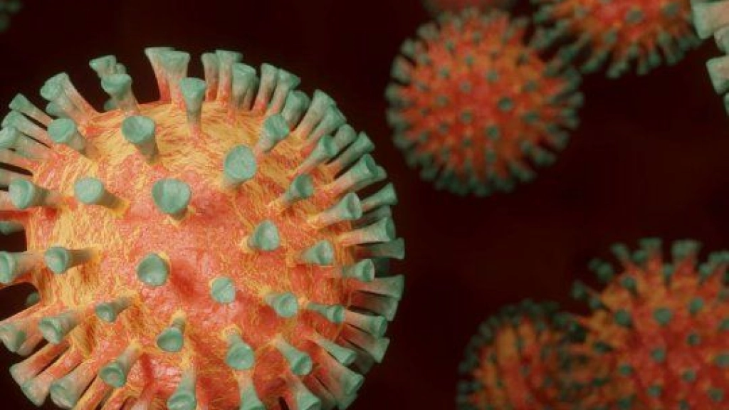 coronavirus-virus_1200jpg, 