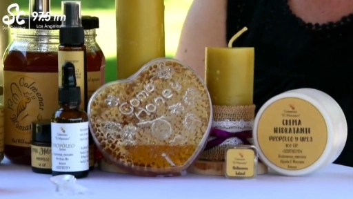 Antuco: Una comuna con Sello de Origen gracias a la miel