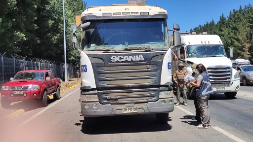 Fiscalizan camiones de carga para evitar el robo de madera en Biobío