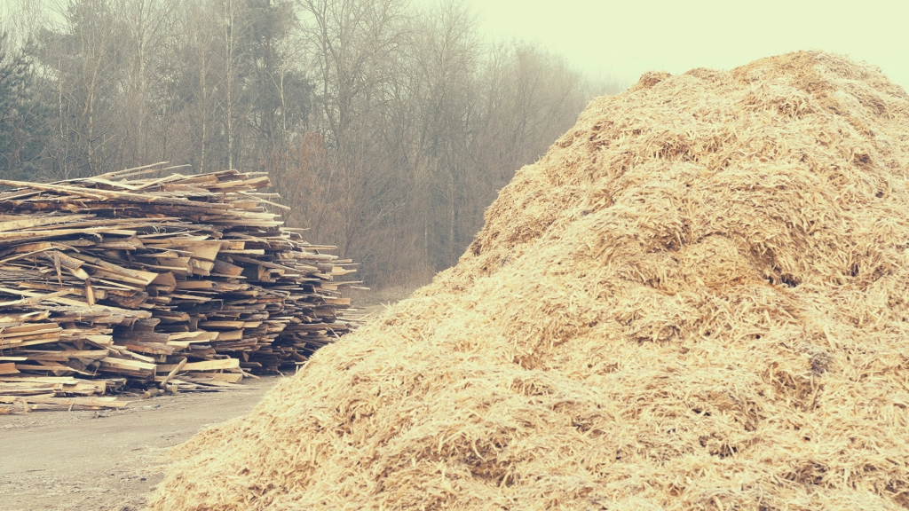 am 3 1602, La madera se trasladaría a una planta procesadora propia de los pequeños y medianos productores, que eventualmente estaría en un predio de alguno de los socios de la organización, indica la propuesta.