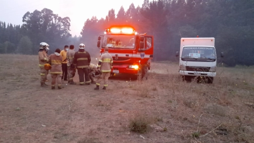 Incendios forestales marcaron fin de semana en la provincia de Biobíoü