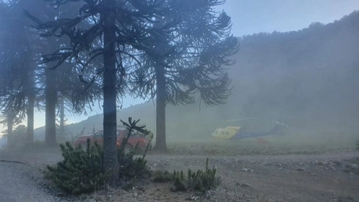 Alto Biobío: Logran contener incendio forestal cercano a la laguna El Barco