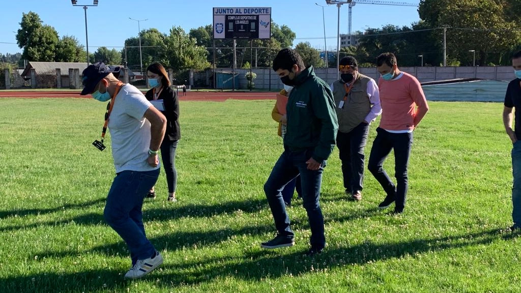 Inspección al estadio 4, 