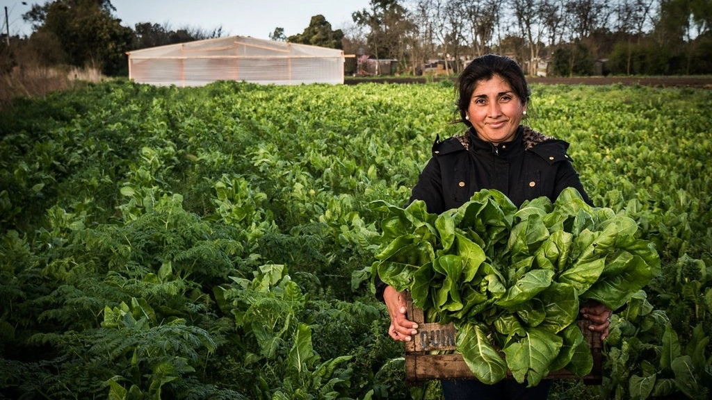 am 1 3101, Los esfuerzos por incluir a la mujer en estos sectores han permitido mejorar la calidad en la producción  y lleva a pensar en potenciar su presencia en el futuro.