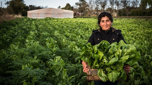 Crece participación de mujeres en labores silvoagropecuarias de Biobío