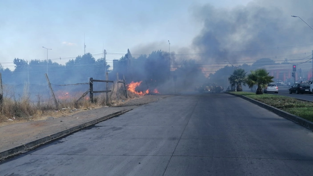 , Créditos imagen: Pacífico TV.