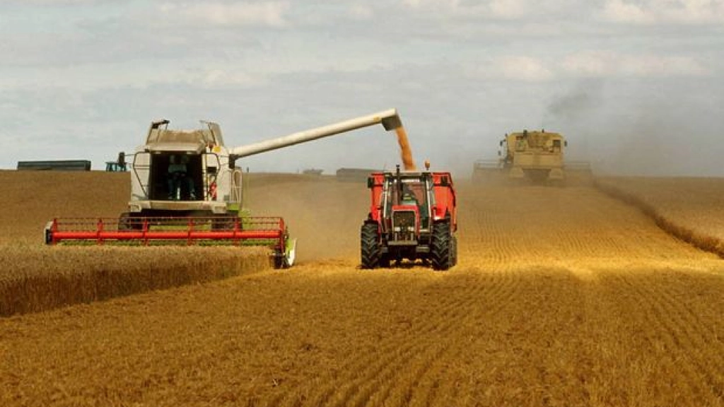 pm 3 1602, Algunos factores ambientales y del mercado no han permitido aumentar la oferta de siembras y cultivos, que al disminuir también encarecen el precio de los productos que salen al mercado.