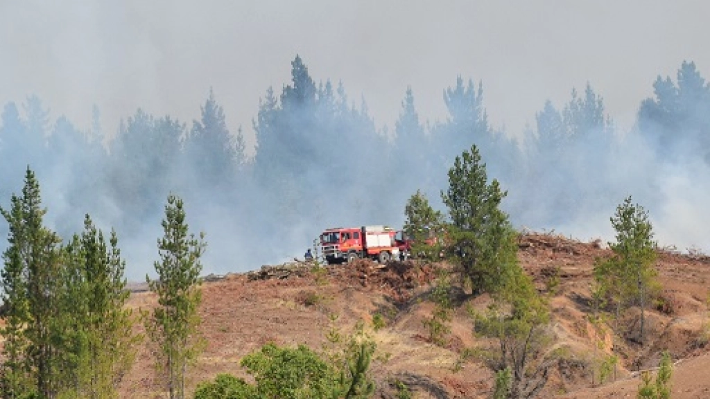 Incendio forestal Rio Claro Yumbel (38), 