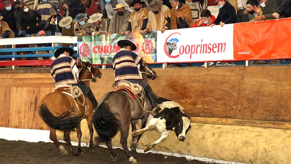 Rodeo San Clemente, 