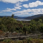 cuenca Lago Lanalhue, Los estudios realizados en la cuenca del Lago Lanalhue, dan cuenta de que es necesario contar con información actualizada sobre el estado de salud de los distintos ecosistemas, cómo se comportan y la relación de las personas con ellos.
