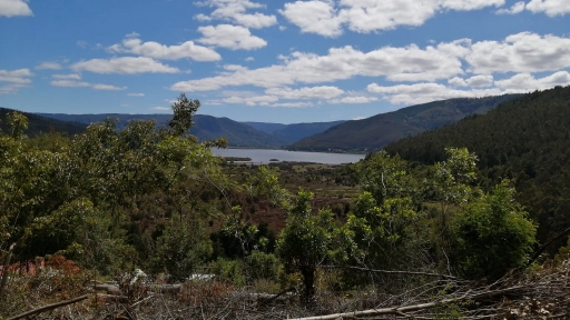 Incorporan al lago Lanalhue en plan que buscar restaurar un millón de hectáreas en Chile