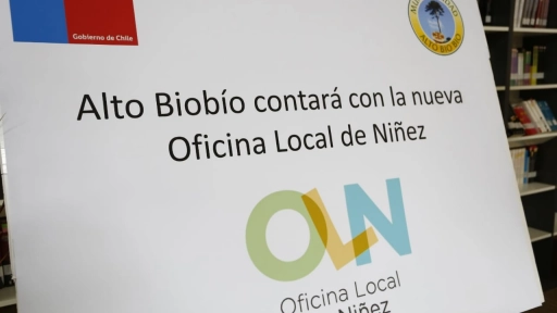 Instalarán nueva Oficina Local de la Niñez en Alto Biobío
