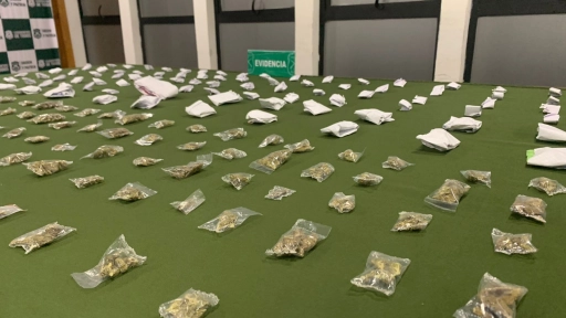 O.S.7 Biobío detuvo a dos sujetos por tráfico de drogas: encontraron 207 dosis de marihuanaü