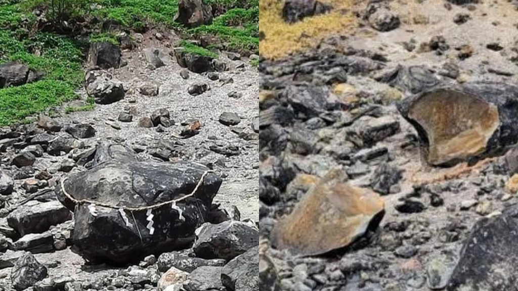 Diseño sin título, 