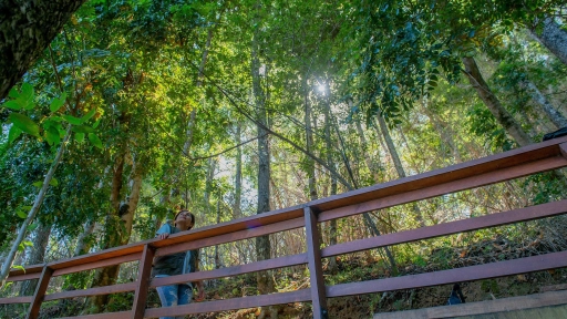 92 mil visitas recibió el Parque Angostura durante la temporada estival