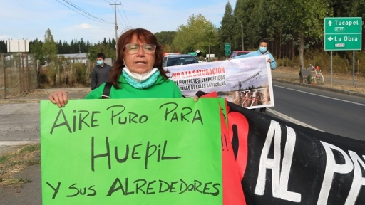 Tucapel: Realizan marcha en contra de planta de cerdos instalada en la comuna